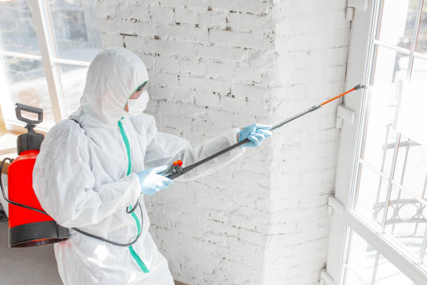 Best Asbestos and Lead Testing During Mold Inspection in Glendale, MS